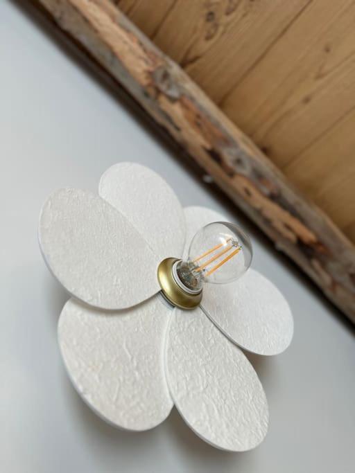 Chic & Champetre Au Coeur Du Haut-Jura 拉莫哈 外观 照片
